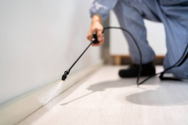 Bed Bug Pre-Treatment Preparation Assessment in Snyder