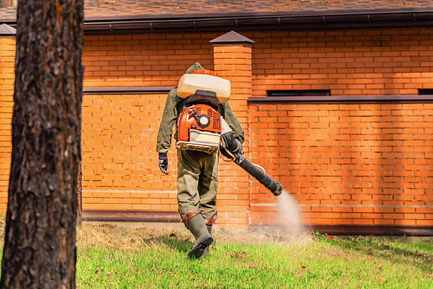 Bed Bug Clearance Verification and Documentation in Snyder